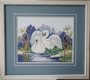 Framed winter swans illustration 4387
