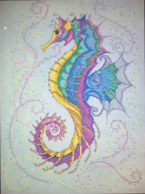 Glorious seahorse illustration 4182