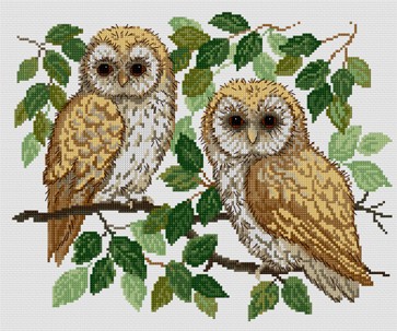 LJT030 Baby Owls illustration 1228