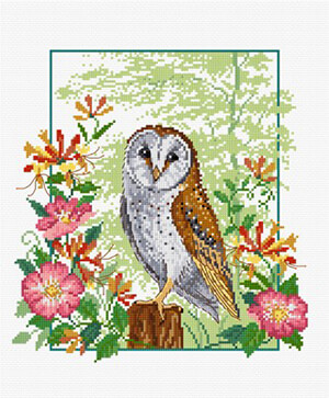 LJT032 Barn Owl thumbnail