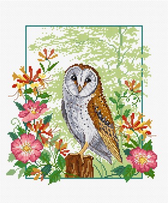 LJT032 Barn Owl illustration 1230