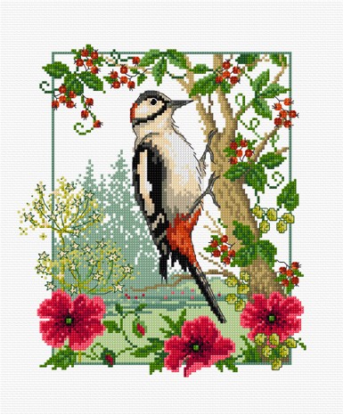 LJT033 Woodpecker illustration 1231