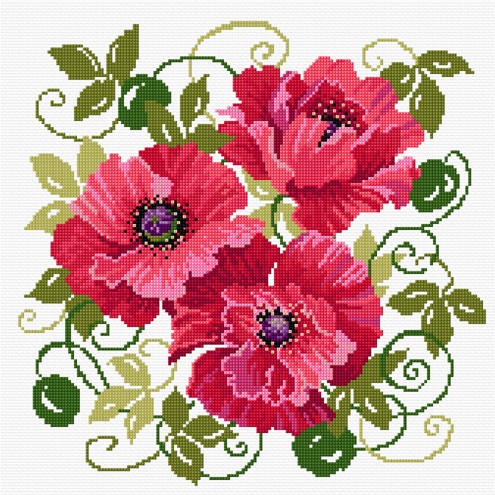 LJT019 Red Poppies illustration 1262