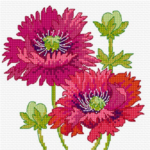 LJT102 Summer poppies thumbnail