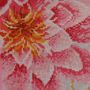 Waterlily fly cross stitch