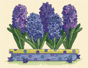 Hyacinths