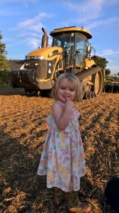 Rosie at harvest time. illustration 1