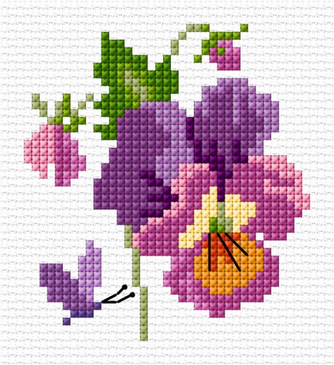 Floral sampler update illustration 5071