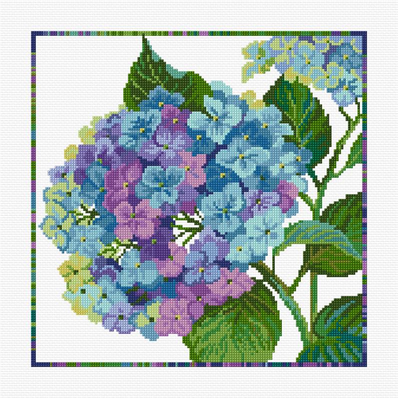 LJT149 Blue hydrangea illustration 4963