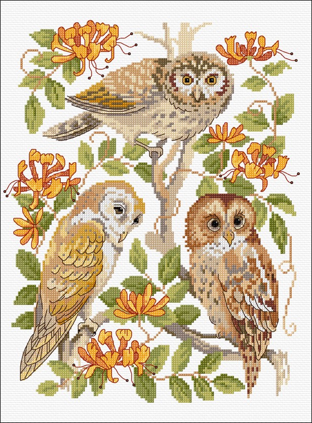 LJT238 Little, Barn and Tawny owls illustration 5126