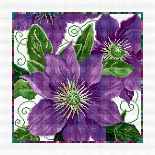 LJT248 Clematis thumbnail