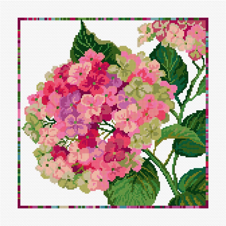 LJT313 Pink Hydrangea illustration 4984