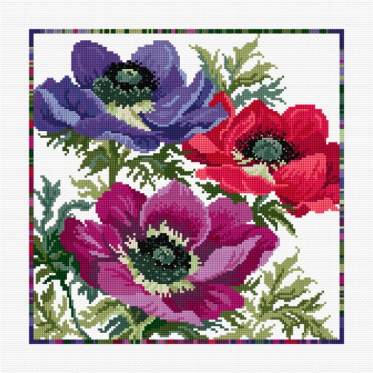 LJT315 Anemones thumbnail