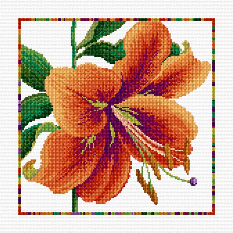 LJT316 Lily illustration 4997