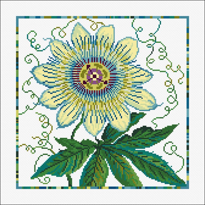 LJT326 Passion flower illustration 5063