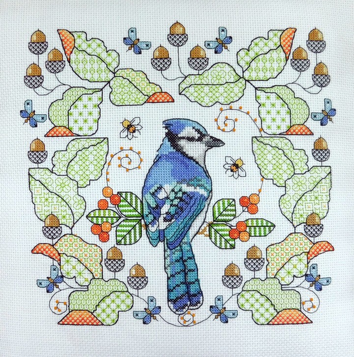 LJT 349 Blue Jay amongst oak leaves illustration 5297