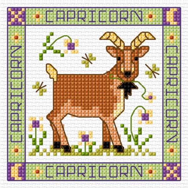 Capricorn